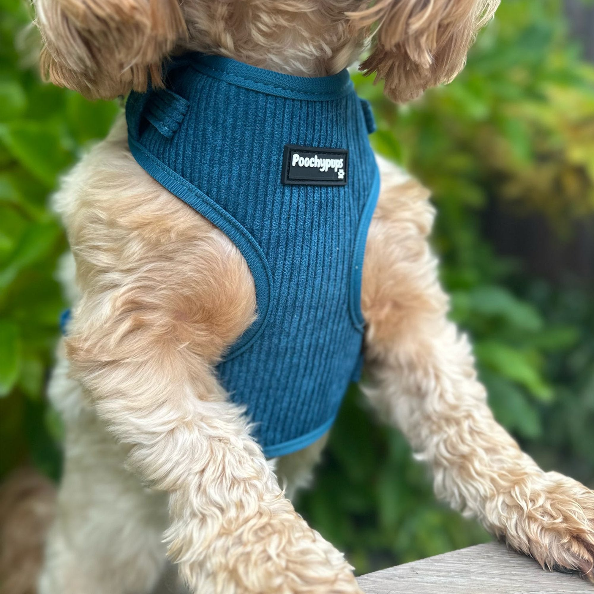 Dark Teal Corduroy Dog Harness - PoochyPups - Dog Harnesses & Toys