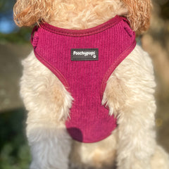 Mulberry Corduroy Dog Harness - PoochyPups - Dog Harnesses & Toys