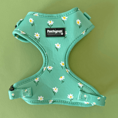 Oopsy Daisy Adjustable Dog Harness - PoochyPups - Dog Harnesses & Toys