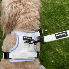 Out - 'Dora' White Corduroy Adjustable Lead - PoochyPups - Dog Harnesses & Toys