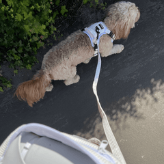 Out - 'Dora' White Corduroy Adjustable Lead - PoochyPups - Dog Harnesses & Toys