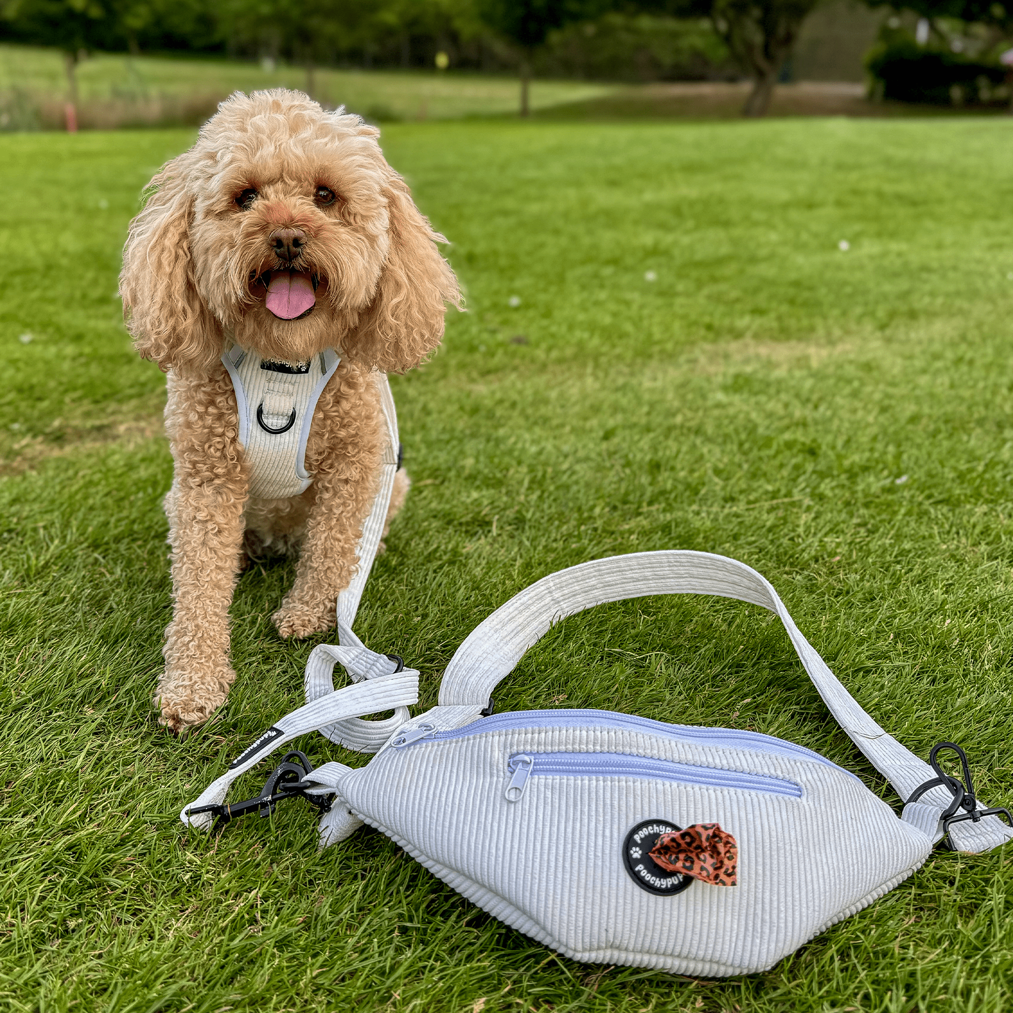 Out - 'Dora' White Corduroy Dog Walking Cross body bag - PoochyPups - Dog Harnesses & Toys