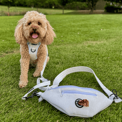 Out - 'Dora' White Corduroy Dog Walking Cross body bag - PoochyPups - Dog Harnesses & Toys