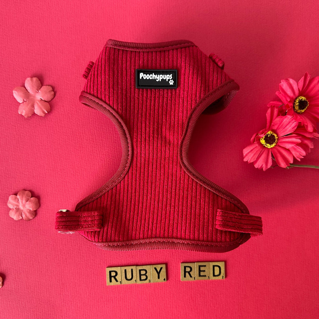 Ruby Red Corduroy Dog Harness – PoochyPups - Dog Harnesses & Toys