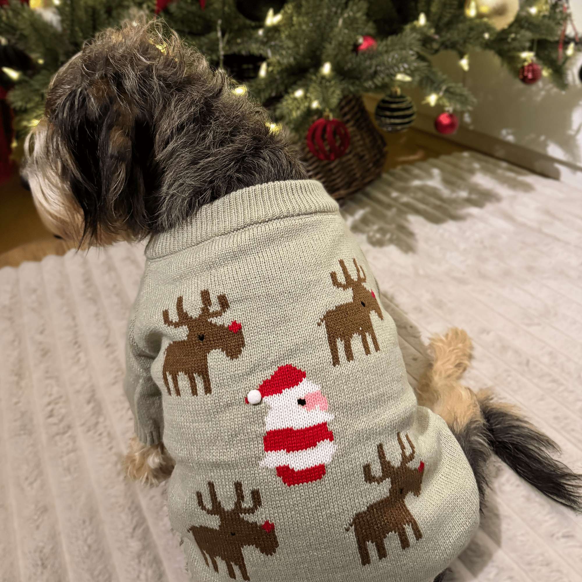 Santa and Reindeers Christmas jumper - PoochyPups - Dog Harnesses & Toys