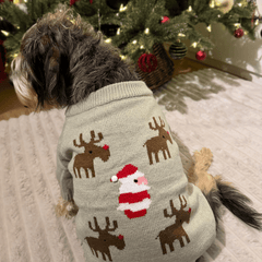 Santa and Reindeers Christmas jumper - PoochyPups - Dog Harnesses & Toys