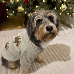 Santa and Reindeers Christmas jumper - PoochyPups - Dog Harnesses & Toys