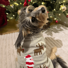 Santa and Reindeers Christmas jumper - PoochyPups - Dog Harnesses & Toys