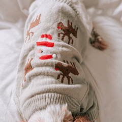 Santa and Reindeers Christmas jumper - PoochyPups - Dog Harnesses & Toys