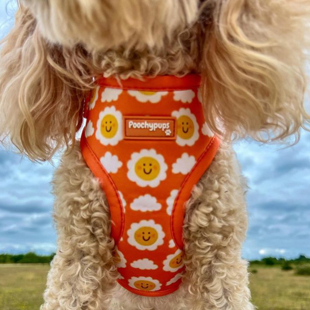 Smiley Sun Adjustable Dog Harness - PoochyPups - Dog Harnesses & Toys