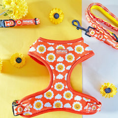 Smiley Sun Bundle (Harness, Collar and Lead) - PoochyPups - Dog Harnesses & Toys