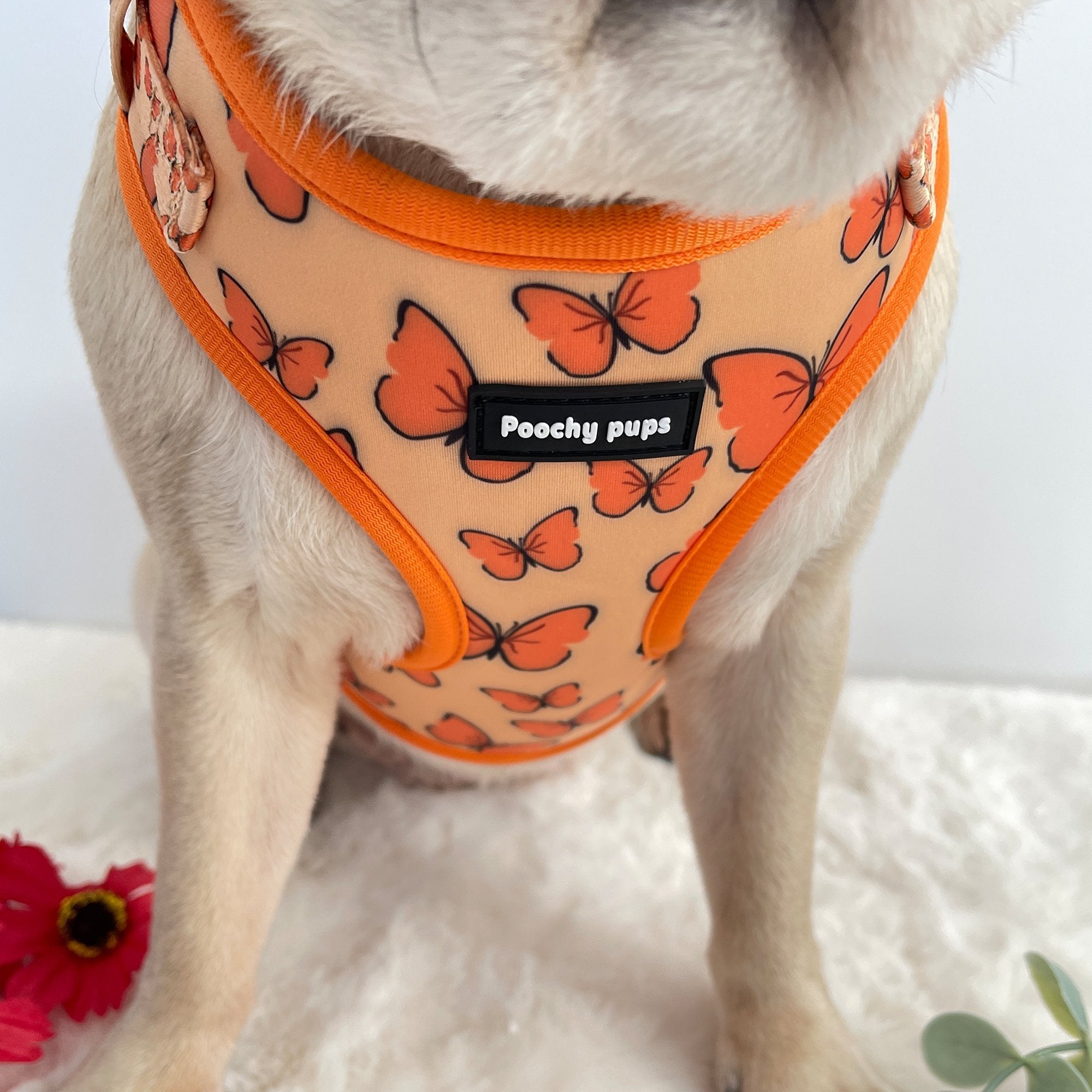 Aponi Orange Adjustable Dog Harness - PoochyPups - Dog Harnesses & Toys