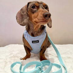 Blue Waterproof Lead - PoochyPups - Dog Harnesses & Toys