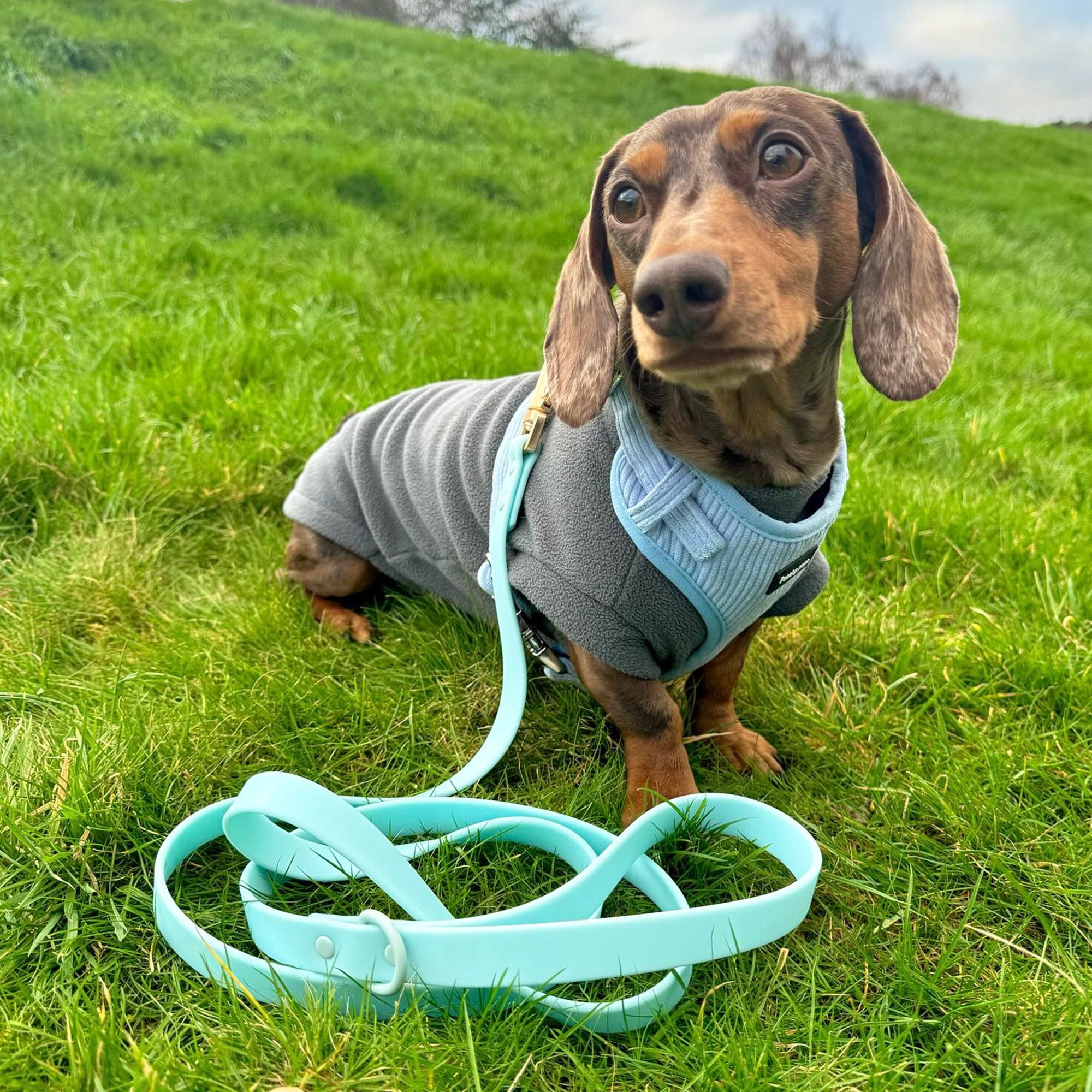 Blue Waterproof Lead - PoochyPups - Dog Harnesses & Toys