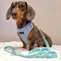 Blue Waterproof Lead - PoochyPups - Dog Harnesses & Toys