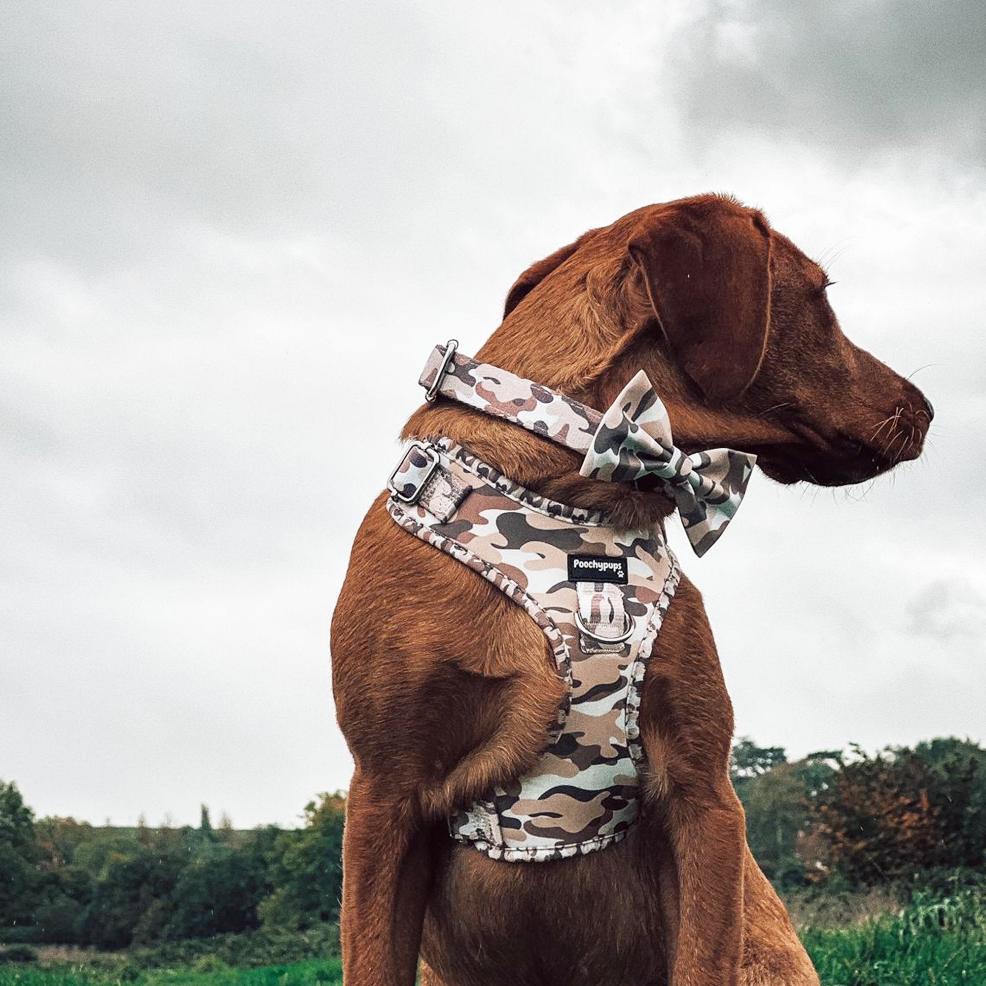 Camo Bow - PoochyPups - Dog Harnesses & Toys