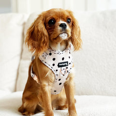 Dotty Adjustable Harness - PoochyPups - Dog Harnesses & Toys