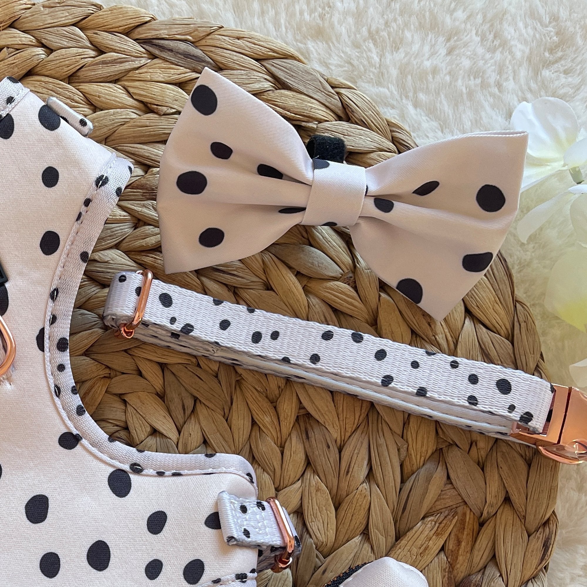 Dotty Bow - PoochyPups - Dog Harnesses & Toys