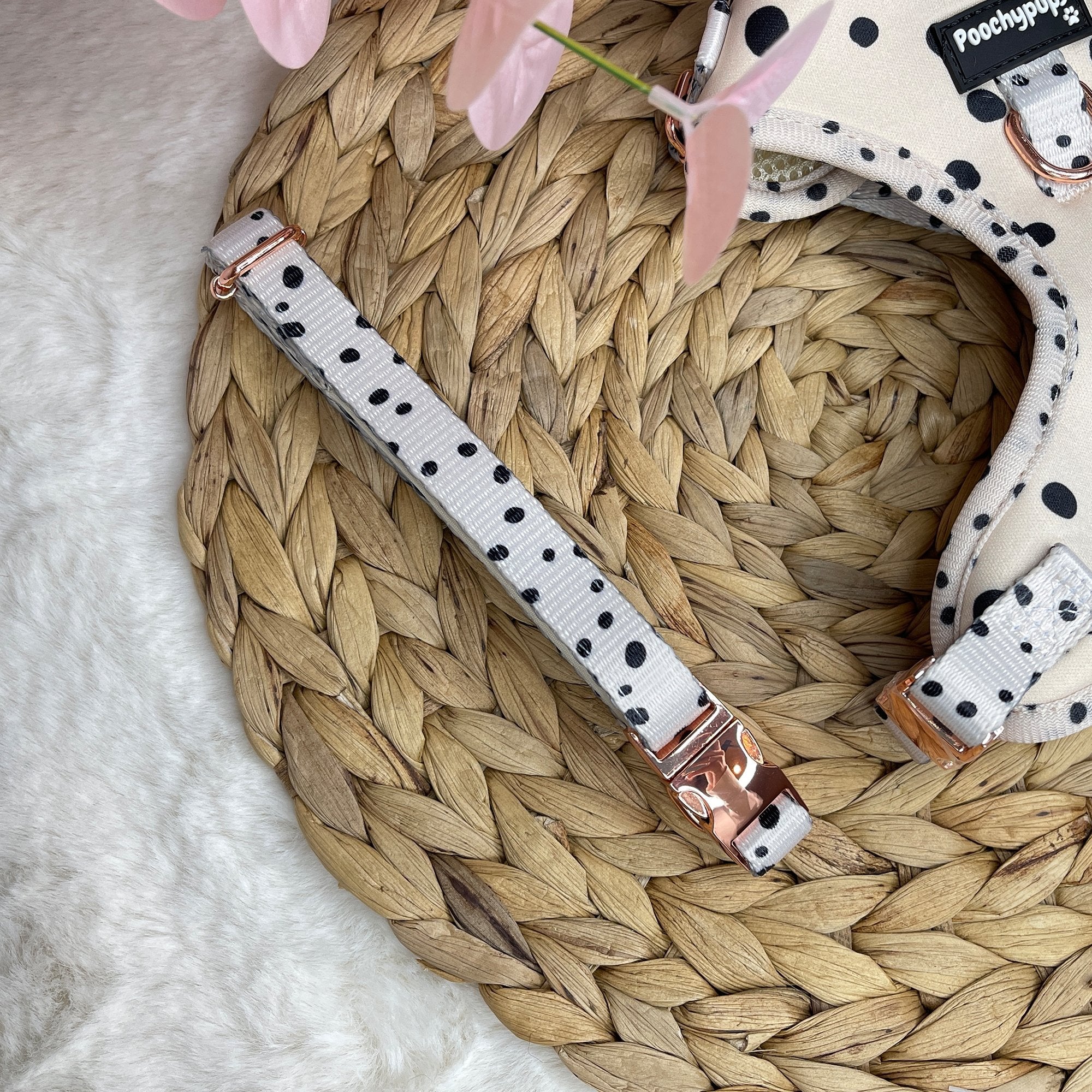 Dotty Collar - PoochyPups - Dog Harnesses & Toys