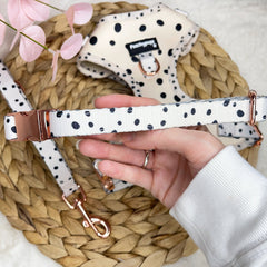 Dotty Collar - PoochyPups - Dog Harnesses & Toys