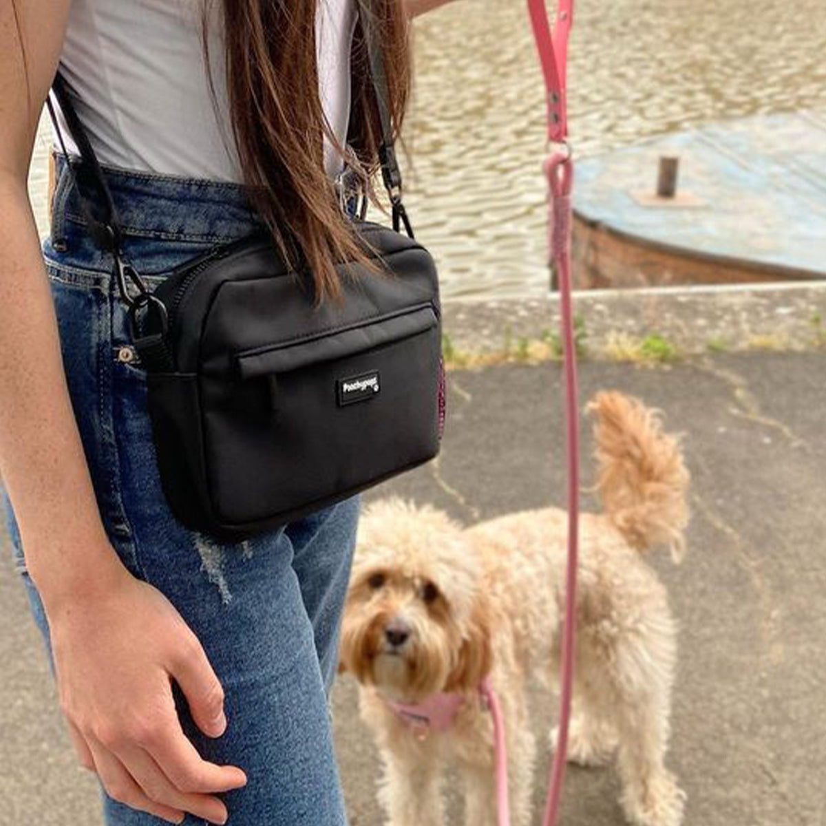 EVERYDAY DOG WALKING BAG (BLACK) - PoochyPups - Dog Harnesses & Toys