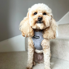 Light Grey Corduroy Adjustable Harness