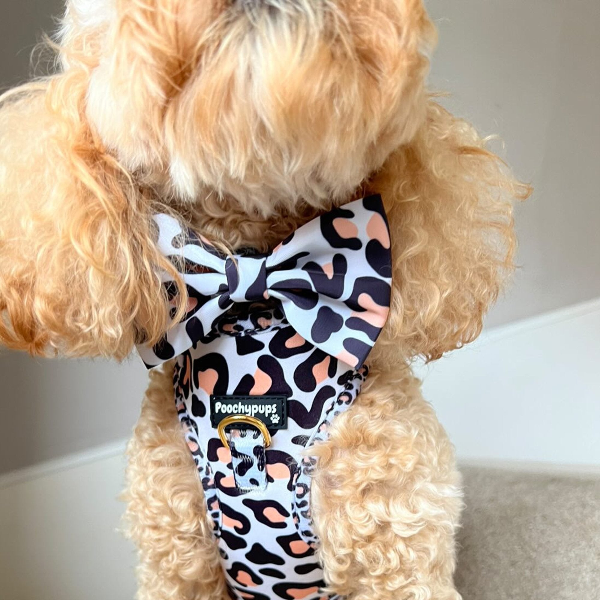 Leopard Bow - PoochyPups - Dog Harnesses & Toys