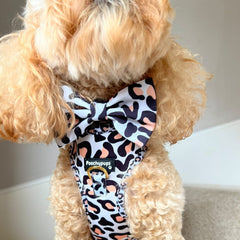 Leopard Bow - PoochyPups - Dog Harnesses & Toys