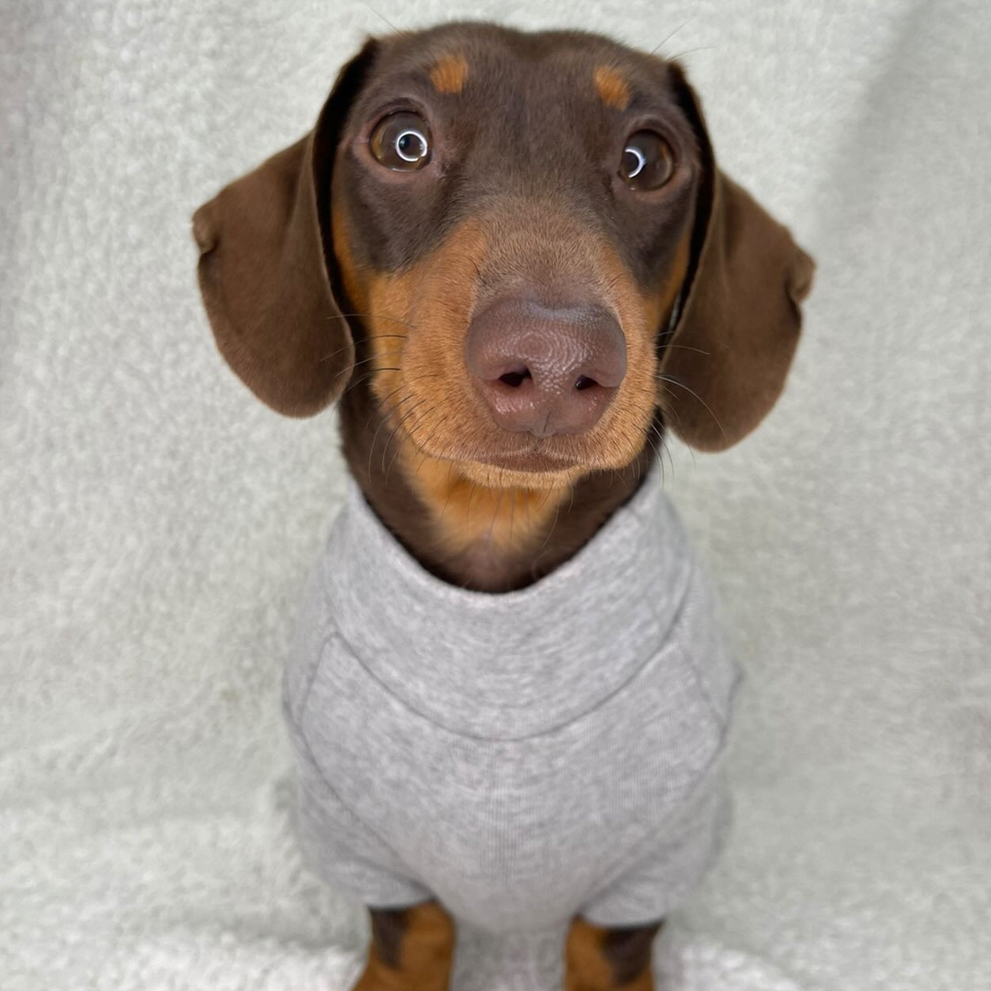 Long Sleeve Cotton Dog Jumper - PoochyPups - Dog Harnesses & Toys