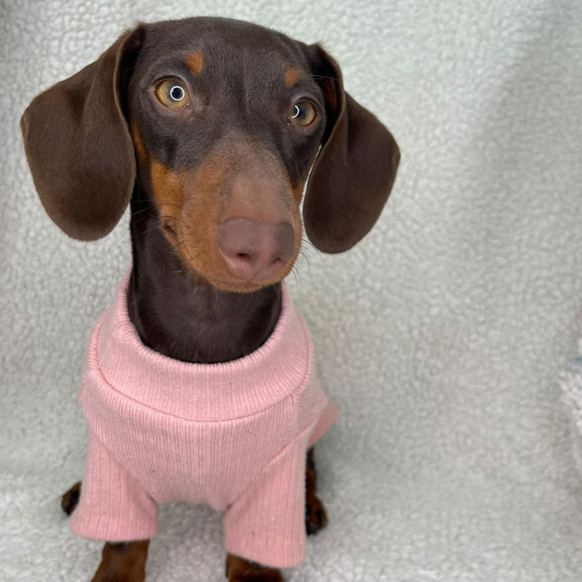 Long Sleeve Ribbed Dog Jumper - PoochyPups - Dog Harnesses & Toys