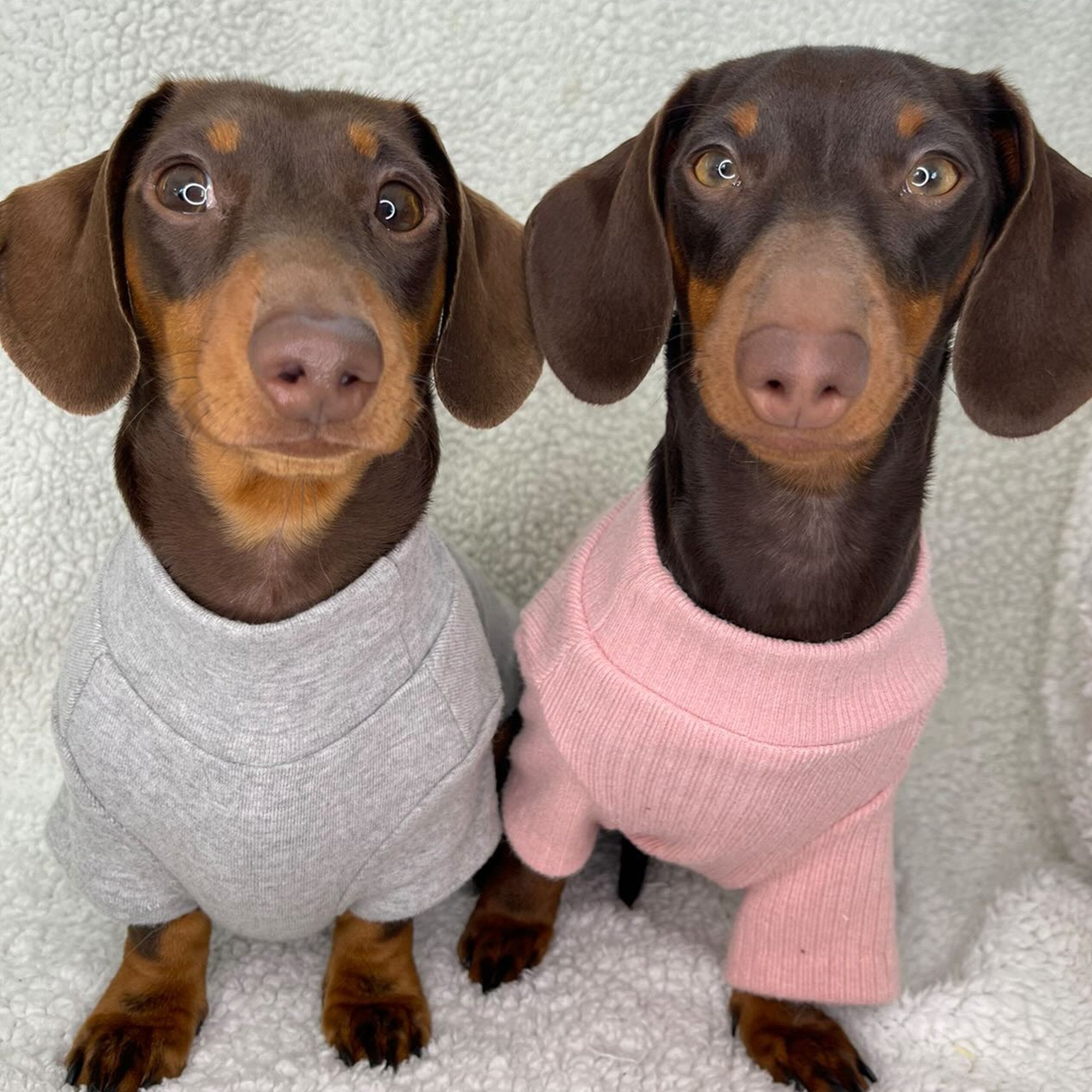 Long Sleeve Ribbed Dog Jumper - PoochyPups - Dog Harnesses & Toys