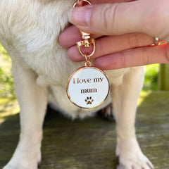Me And My Dog Keyring And Collar Charm - PoochyPups - Dog Harnesses & Toys