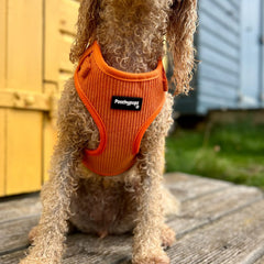 Orange Corduroy Dog Harness - PoochyPups - Dog Harnesses & Toys