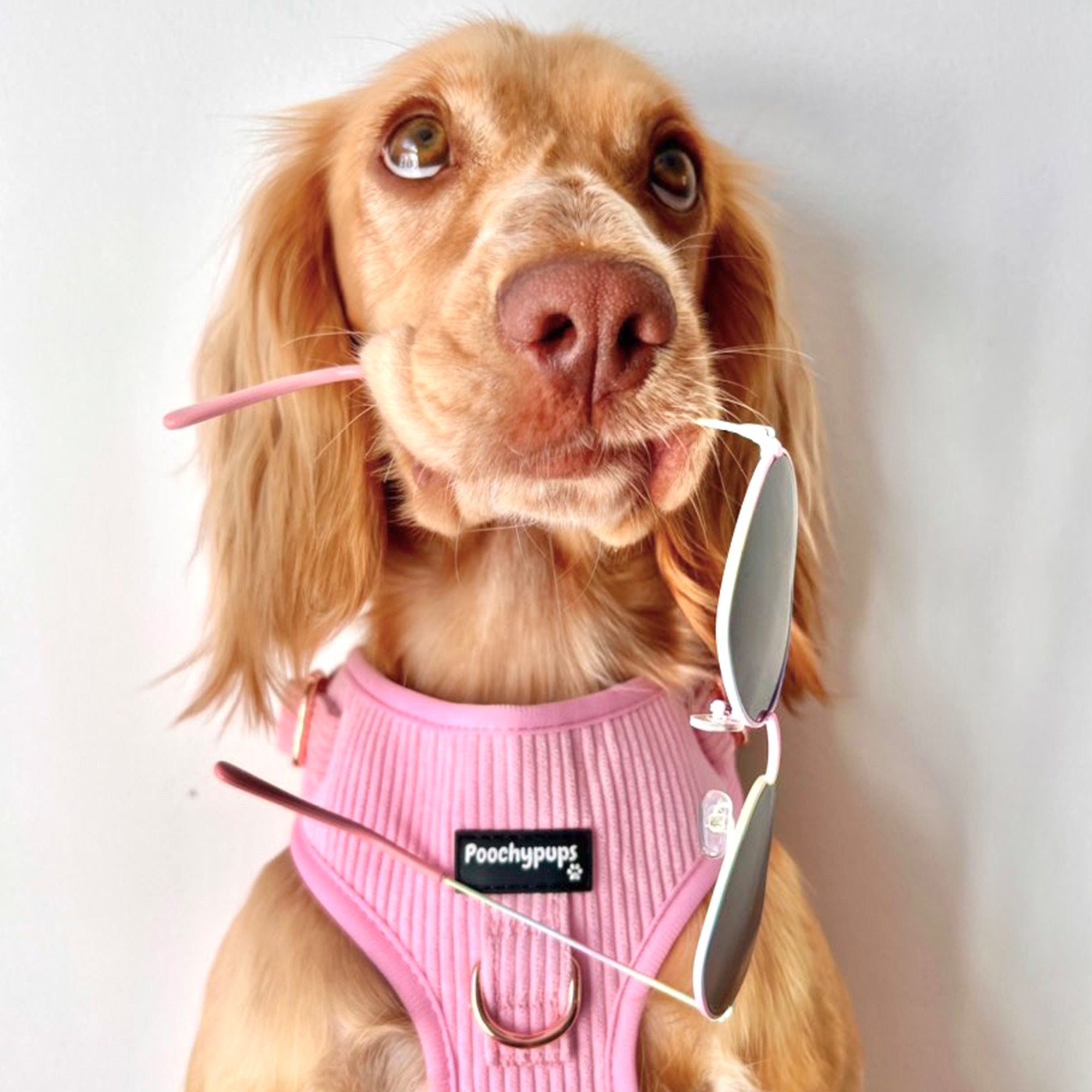 Pink Corduroy Adjustable Harness - PoochyPups - Dog Harnesses & Toys
