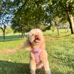 Pink Corduroy Dog Harness - PoochyPups - Dog Harnesses & Toys