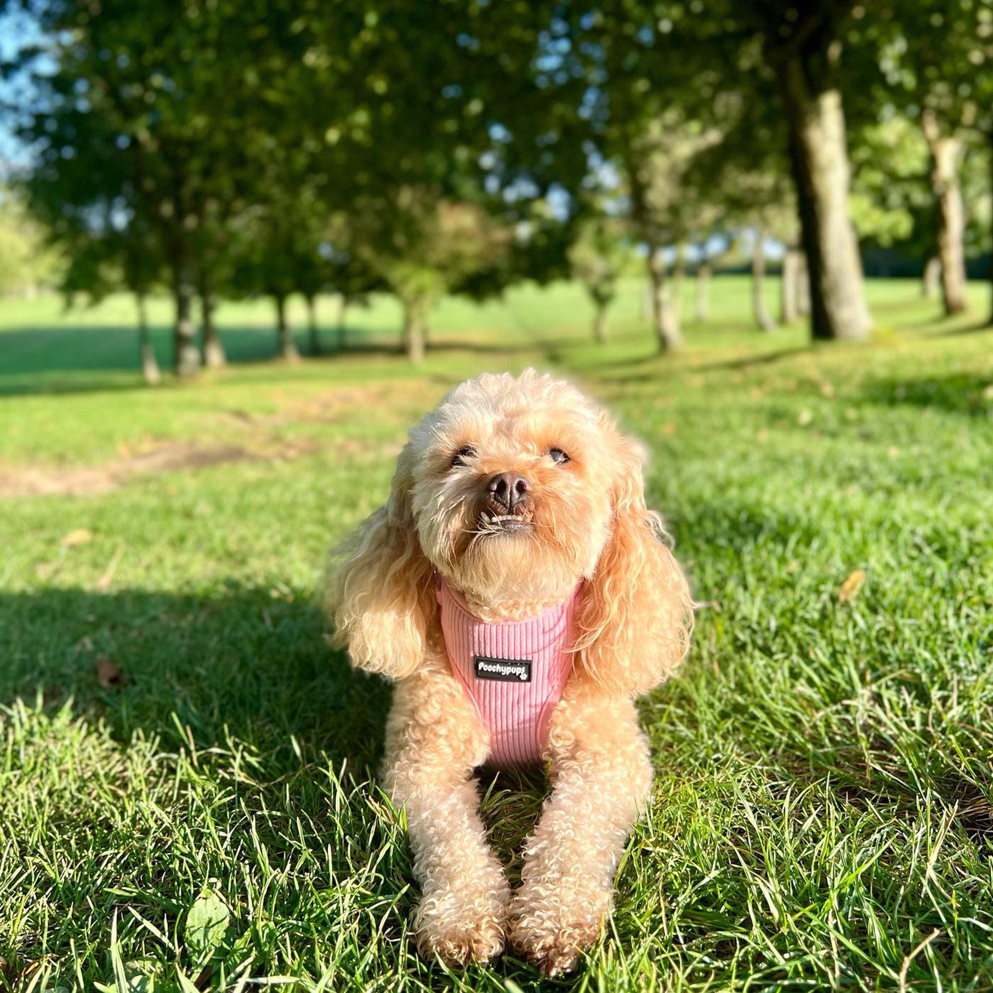 Pink Corduroy Dog Harness - PoochyPups - Dog Harnesses & Toys