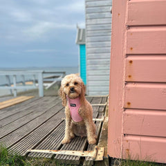 Pink Corduroy Dog Harness - PoochyPups - Dog Harnesses & Toys