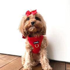 Red Corduroy Harness - PoochyPups - Dog Harnesses & Toys