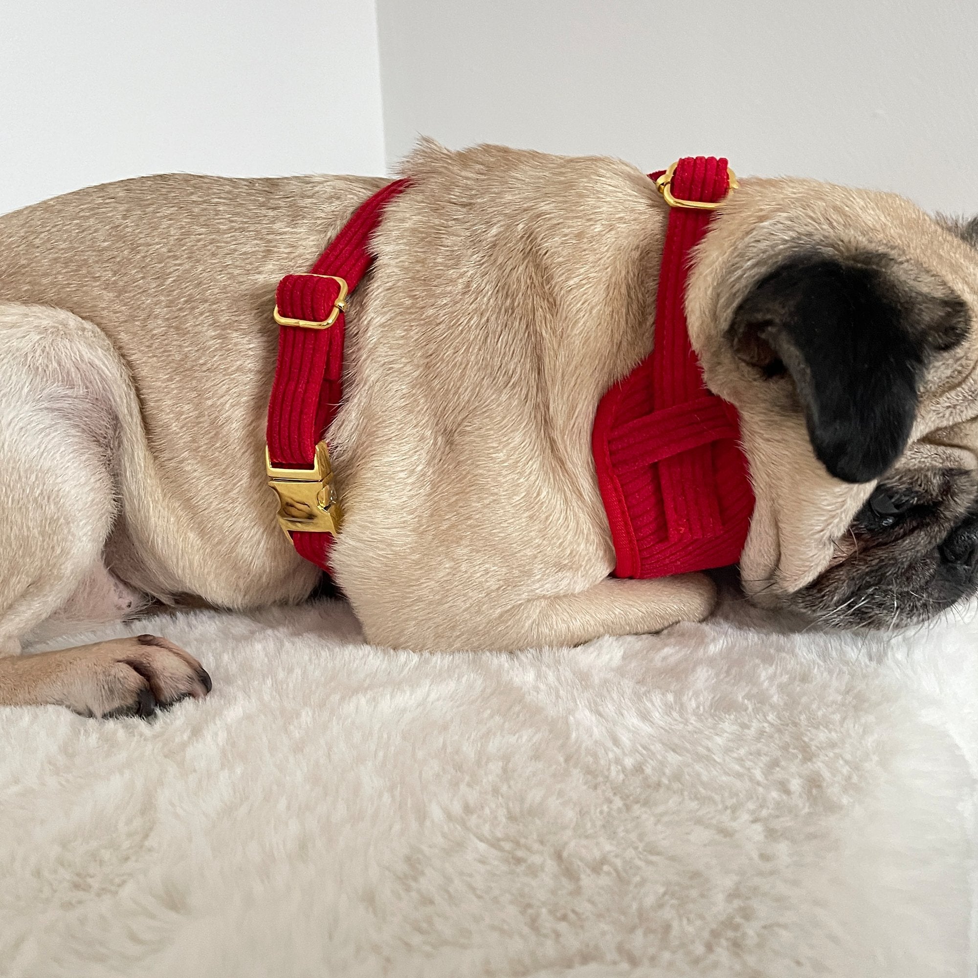 Red Corduroy Harness - PoochyPups - Dog Harnesses & Toys