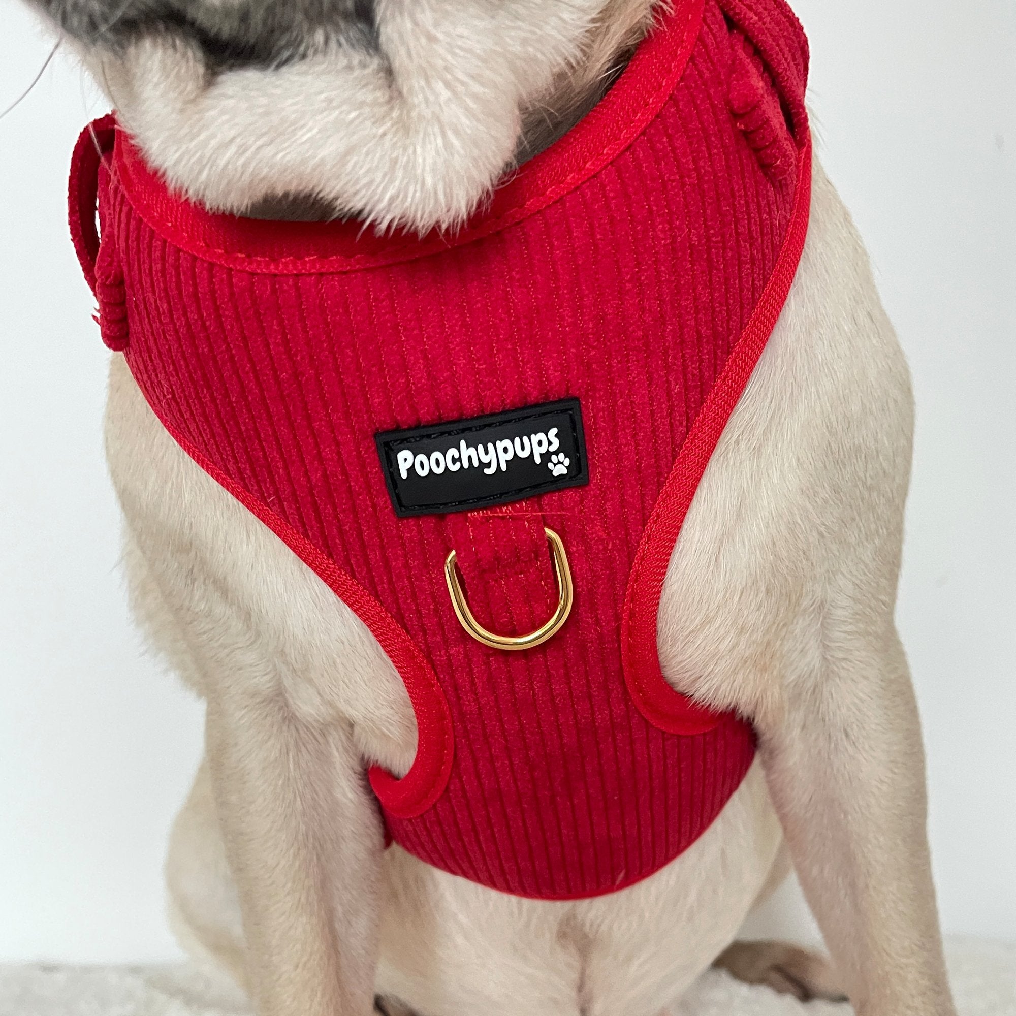 Red Corduroy Harness - PoochyPups - Dog Harnesses & Toys