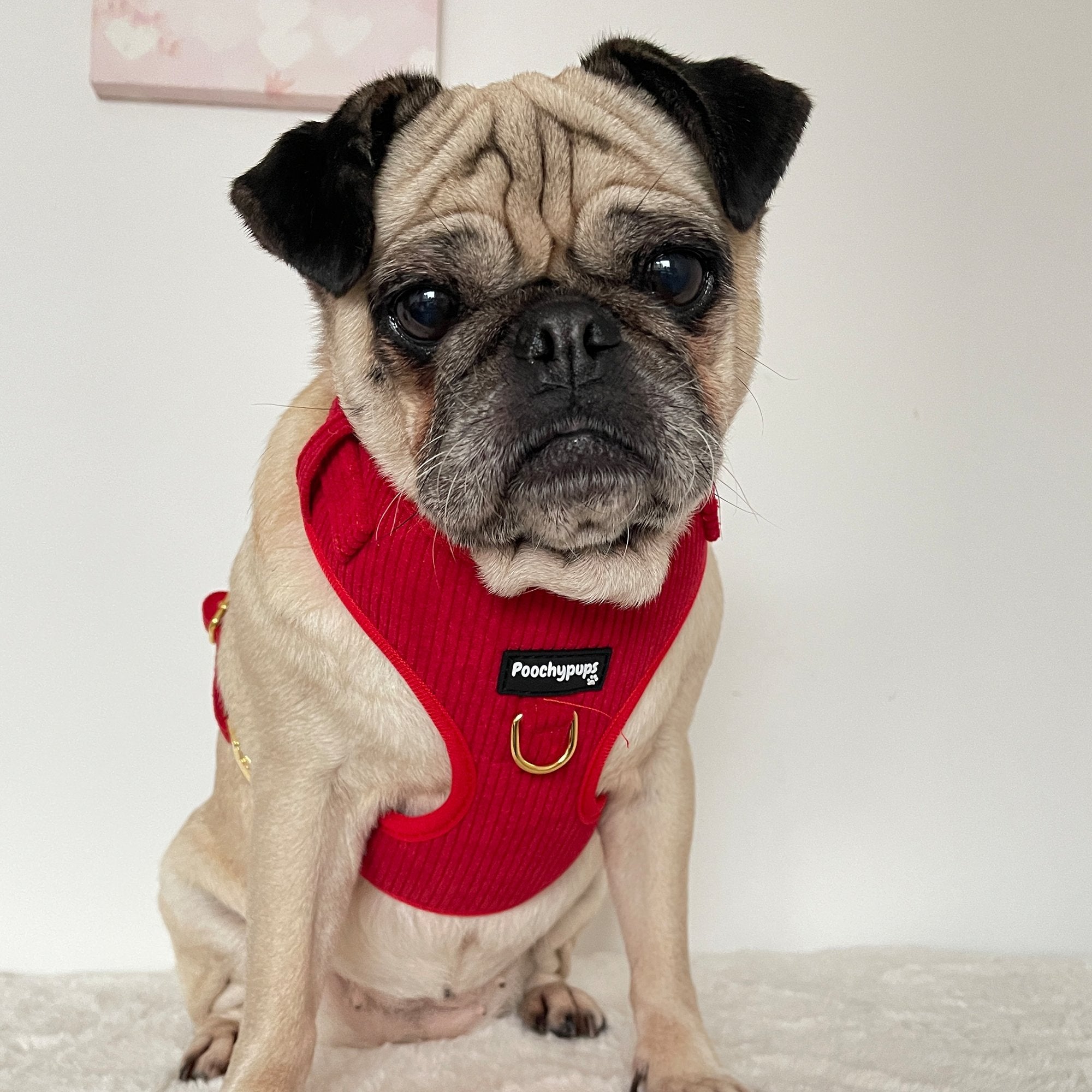 Red Corduroy Harness - PoochyPups - Dog Harnesses & Toys