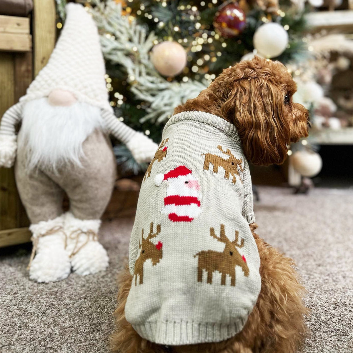 Santa and Reindeers Christmas jumper - PoochyPups - Dog Harnesses & Toys