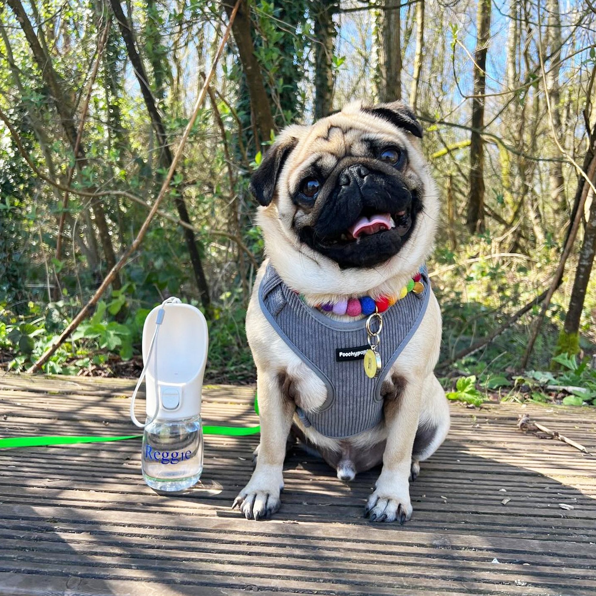 Travel Pet Water Bottle - PoochyPups - Dog Harnesses & Toys