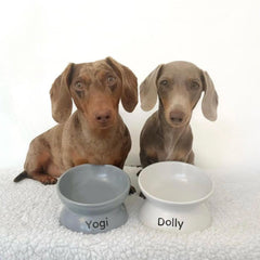 White Ceramic Raised Pet Bowl - PoochyPups - Dog Harnesses & Toys