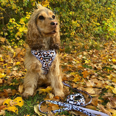 Leopard Poo Bag Holder