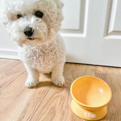 Yellow Ceramic Raised Pet Bowl - PoochyPups - Dog Harnesses & Toys